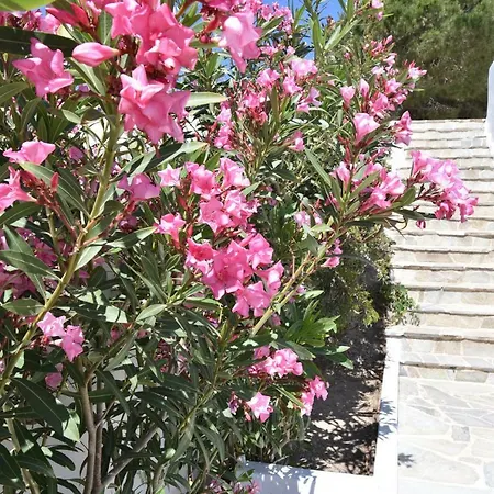 Paradiso Boutique Hotel Páros