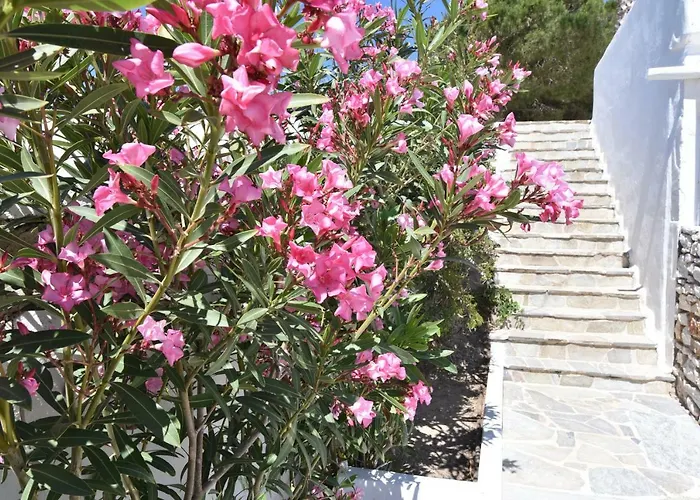 Paradiso Boutique Hotel Páros